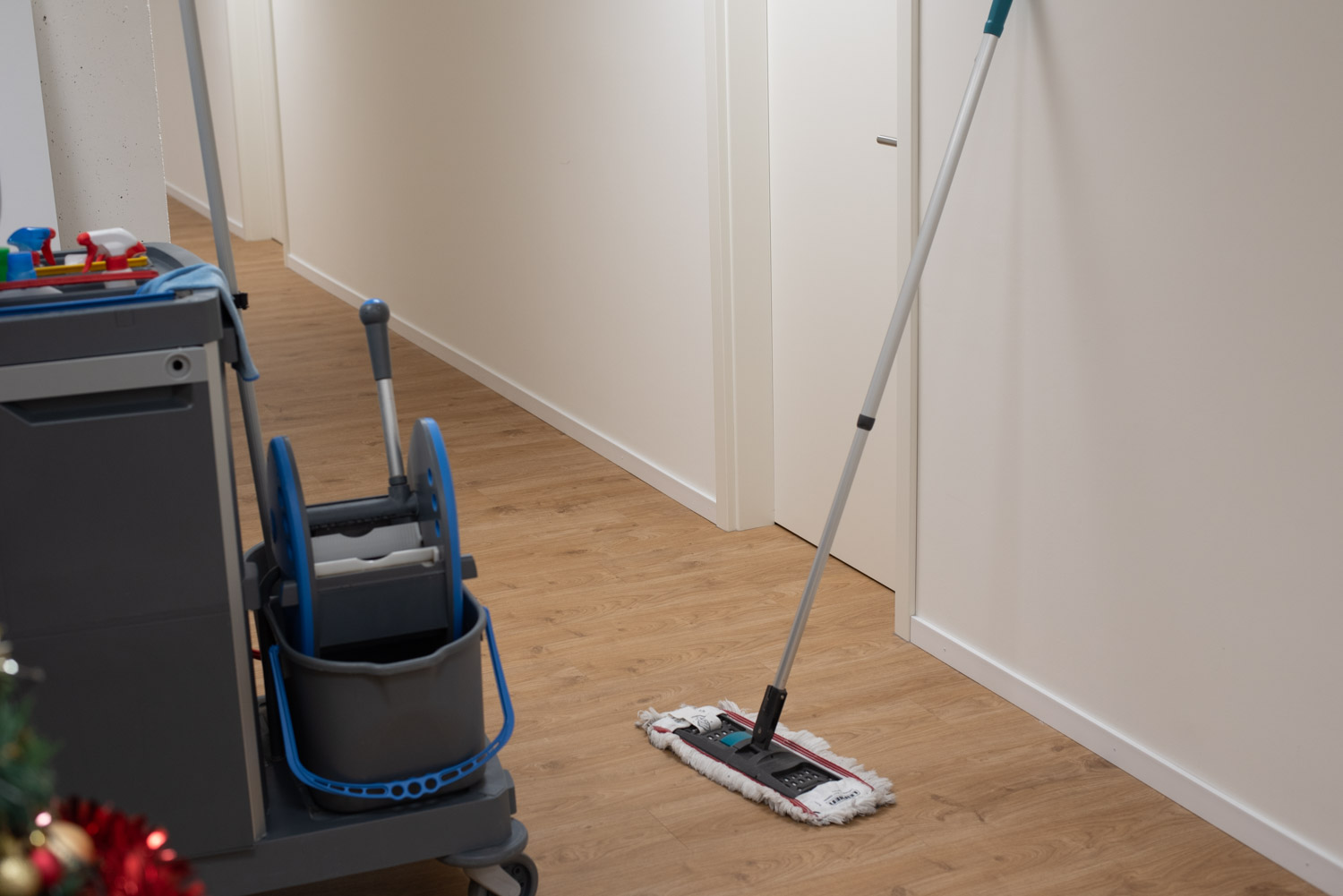 Vitesse Demenagement Debarras Nettoyage Transport Stockage 116